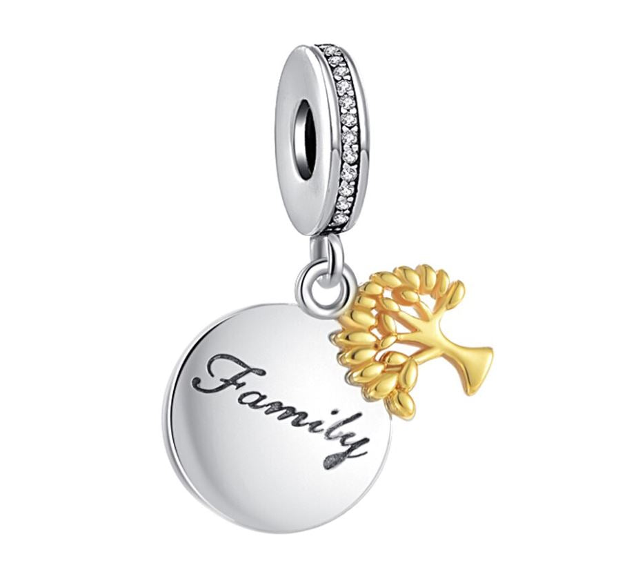 Charm Plata S925 Family